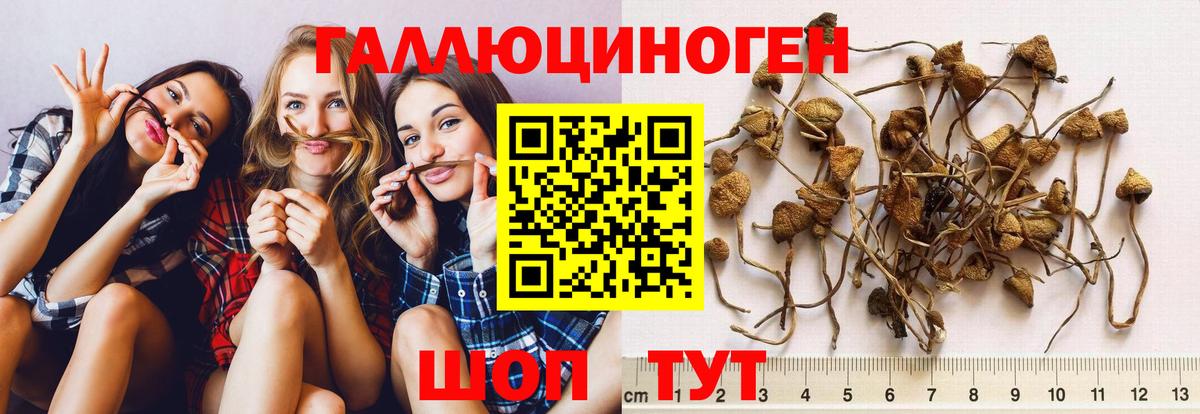 Псилоцибиновые грибы мицелий  Галлюциногенные грибы Psilocybe  Вход с VPN  купить наркотик  Добрянка 